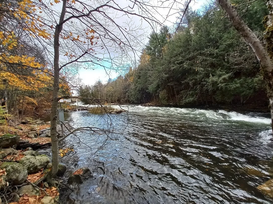 Whitewater and forest scenery near Minden
