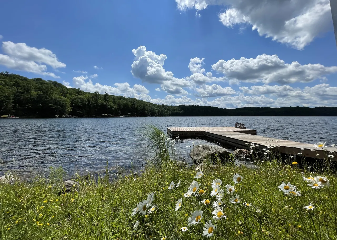 Twin Lakes Resort through the seasons