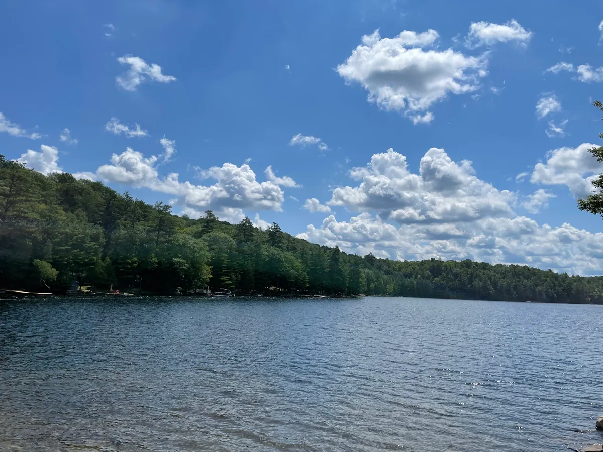 Scenic shoreline and cottage setting